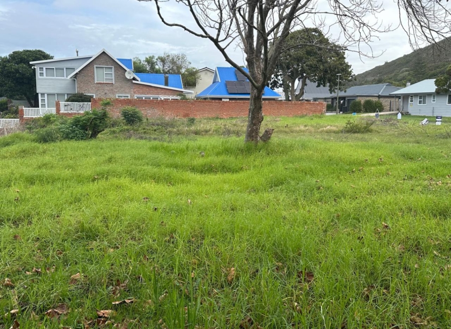 0 Bedroom Property for Sale in Island Cove Western Cape
